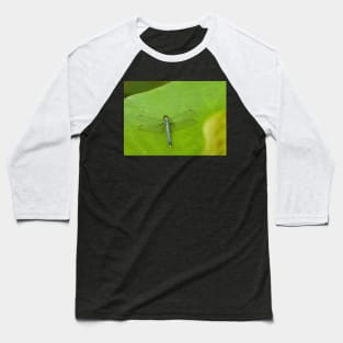 Dragonfly on lotus leaf Baseball T-Shirt